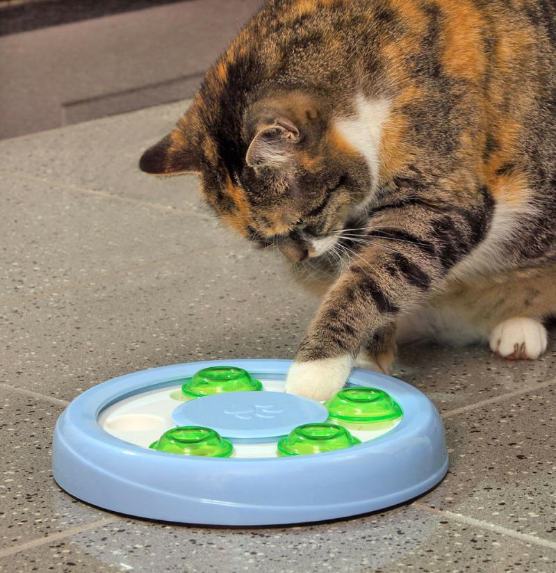 WENKO Intelligenzspielzeug Aktivspielzeug Hund Katze Denkspielzeug Lernspielzeug